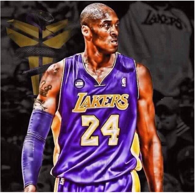 结果显示 结果显示